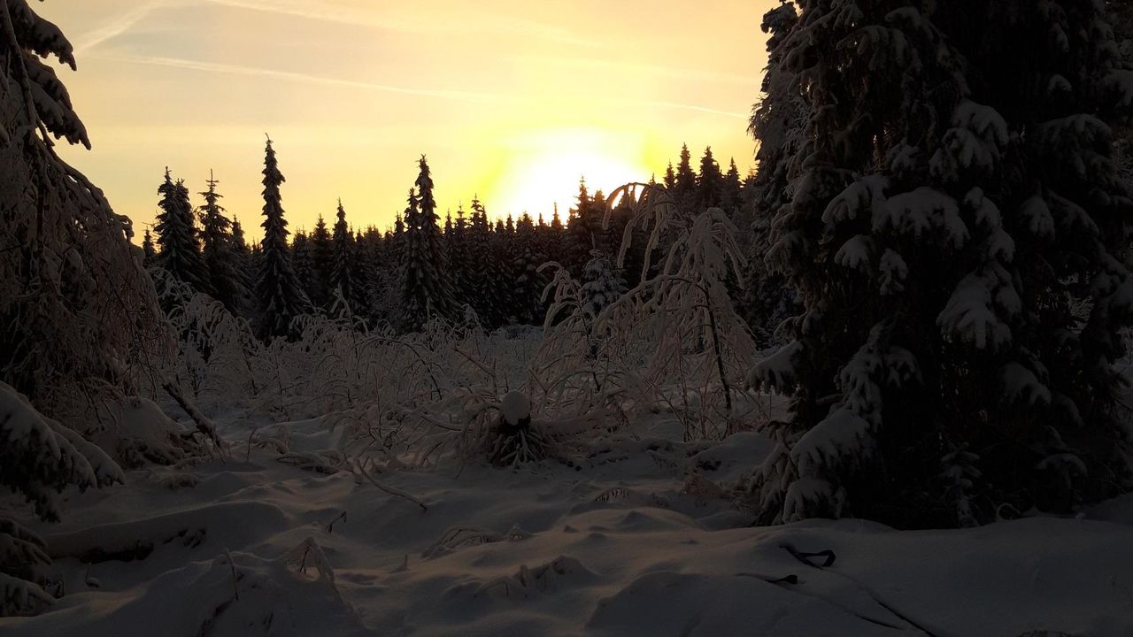 20211212_081552_resized 20211212_081552_resized